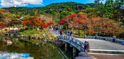 京都円山公園